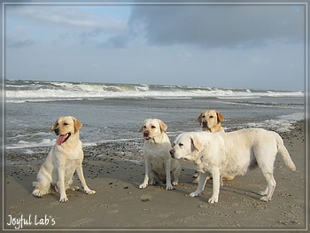 Die Joyful Girls in Dnemark