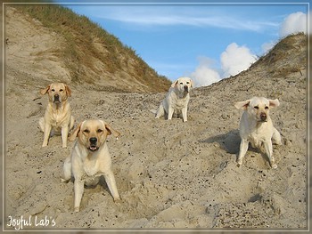 Die Joyful Girls in Dnemark