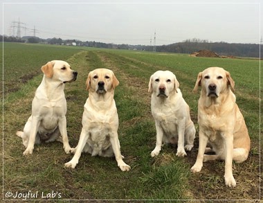 Die Joyful Lab Girls