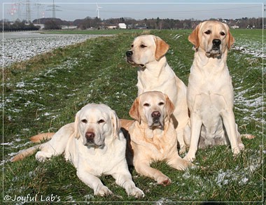 Die Joyful Lab Girls