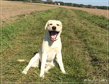 Joyful Lab's Classic Girl "Carla"