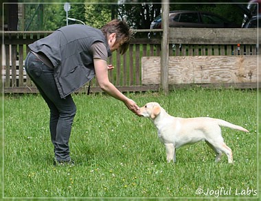 Joyful Lab's Classic Girl "Carla"