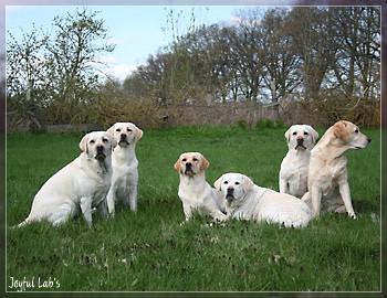 Joyful Girls im Urlaub