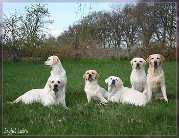 Joyful Girls im Urlaub