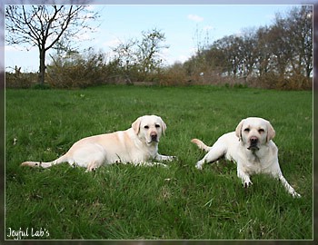 Joyful Girls im Urlaub