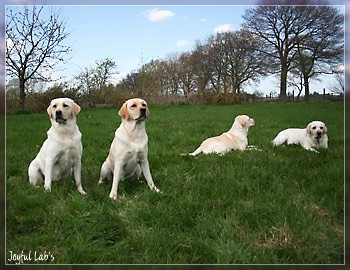 Joyful Girls im Urlaub