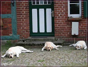 Joyful Girls im Urlaub