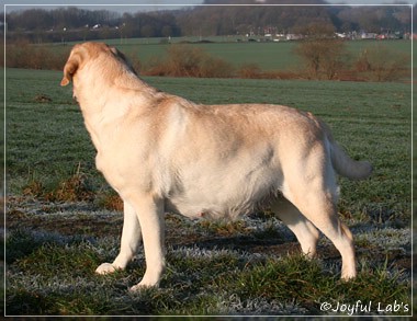 Hanna - Rosefair Joyful Girl