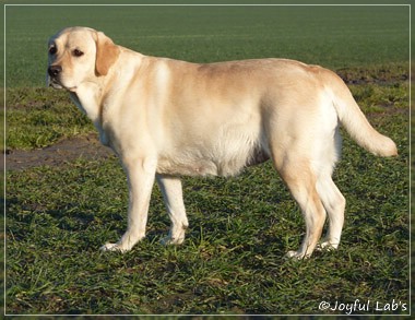 Hanna - Rosefair Joyful Girl