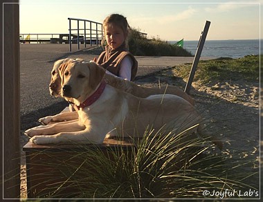 Joyful Lab's Cheeky Girl