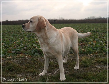 Hanna - Rosefair Joyful Girl