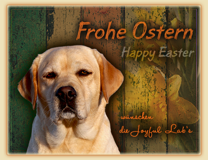 Frohe Ostern :-)