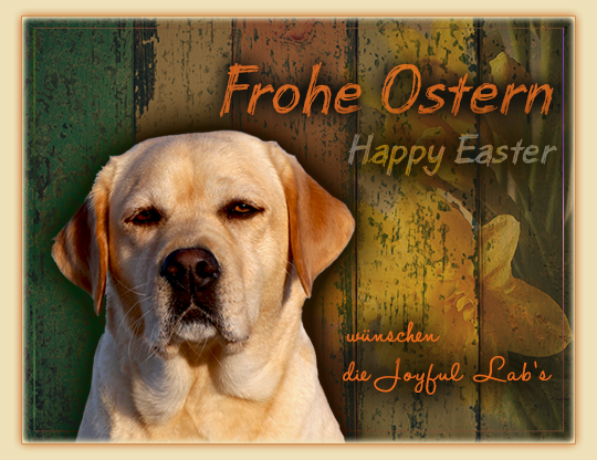 Frohe Ostern :-)