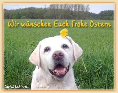 Die Joyful Lab's wnschen Euch ein frohes Osterfest!