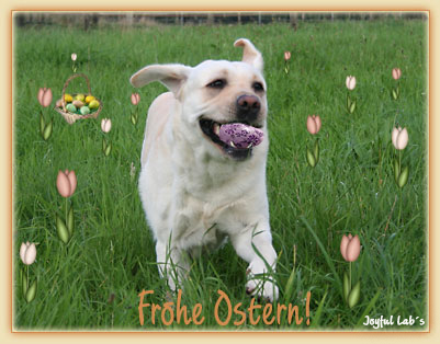 Die Joyful Lab's wnschen Euch  frohe Ostern!