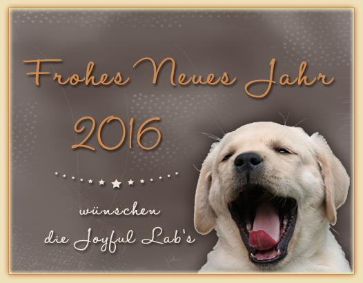 Wir wnschen Euch ein glckliches Neues Jahr 2016!