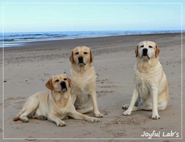 Unser Trio in DK 2025