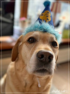 Auf das Foto klicken f�r weitere Fotos ..