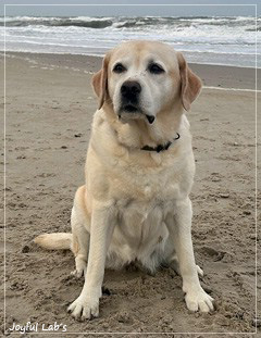 Auf das Foto klicken f�r weitere Fotos ...