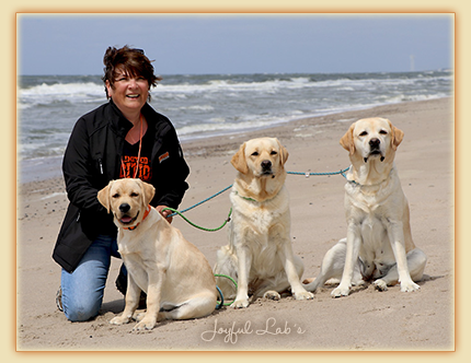 Die Joyful Lab's waren im Urlaub ... Die Joyful Lab's waren im Urlaub ...