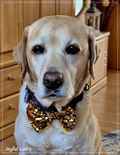 Auf das Foto klicken f�r weitere Fotos ...