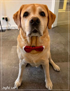 Auf das Foto klicken f�r weitere Fotos ...