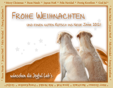 Frohe Weihnachten und einen guten Rutsch ins Neue Jahr!