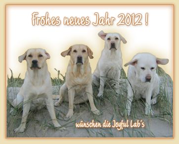 Frohes neues Jahr wnschen die Joyful Labs!