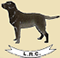 The Labrador Retriever Club of Great Britain