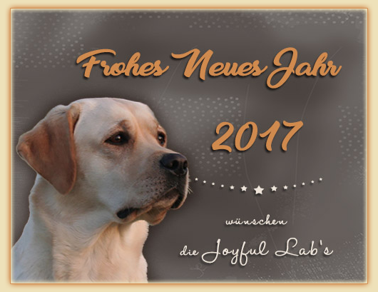 Wir wnschen euch allen ein frohes Neues Jahr 2017!