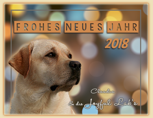 Wir wnschen euch ein frohes Neues Jahr 2018 !