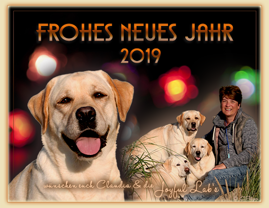 Wir wnschen euch ein glckliches Neues Jahr 2019!