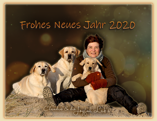 Wir wnschen euch ein frhliches neues Jahr 2020