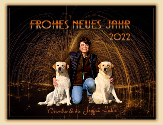 Frohes neues Jahr 2022!