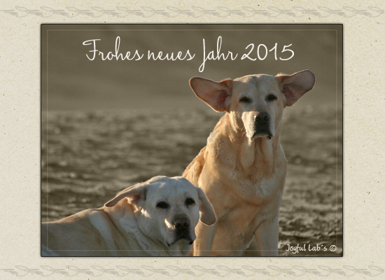 Frohes neues Jahr 2015!