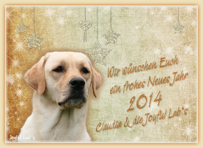 Die Joyful Lab's wnschen Euch ein frohes neues Jahr 2014!