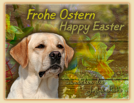 Die Joyful lab's wünschen frohe Ostern :-) Die Joyful lab's wünschen frohe Ostern :-)
