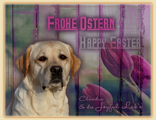 Wir wünschen euch frohe Ostern :-)