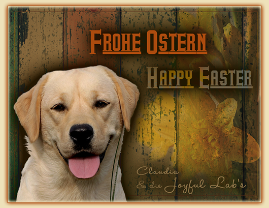 Frohe Ostern :-)