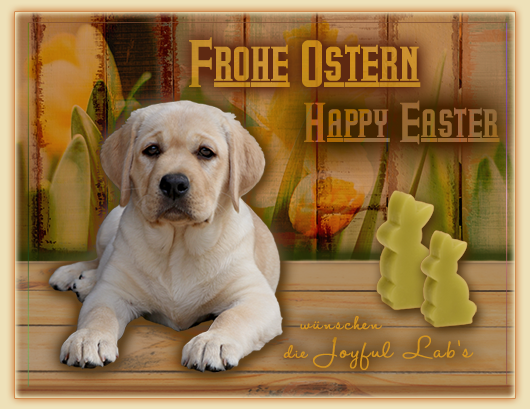 Wir wünschen Euch frohe Ostern :-)