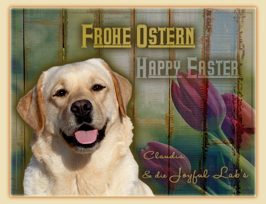 Frohe Ostern!