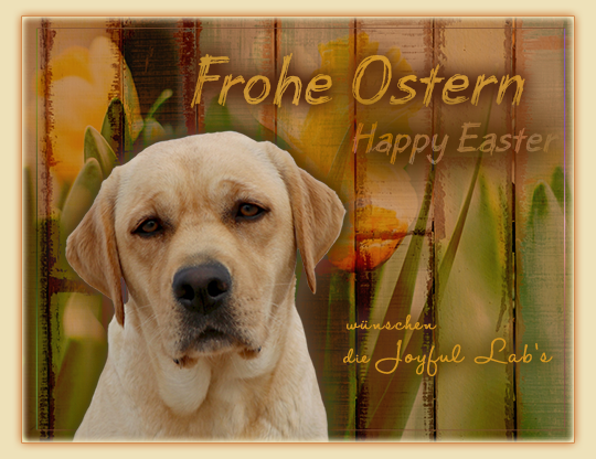 ein frohes Osterfest :-)