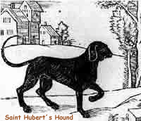 Saint Huberts Hound