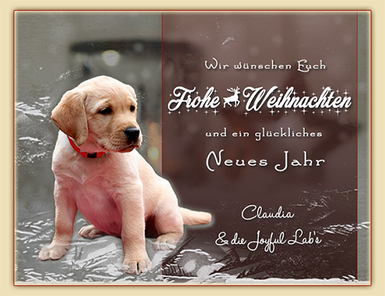 Frohe Weihnachten!