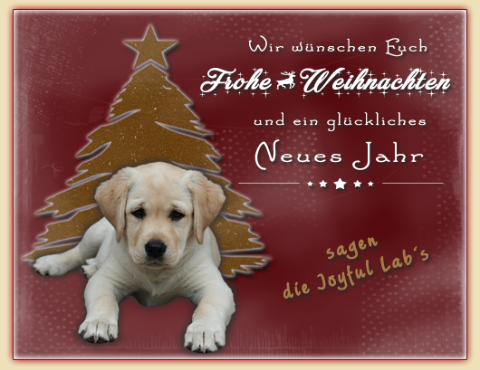 Wir wnschen Euch allen frohe Weihnachten!