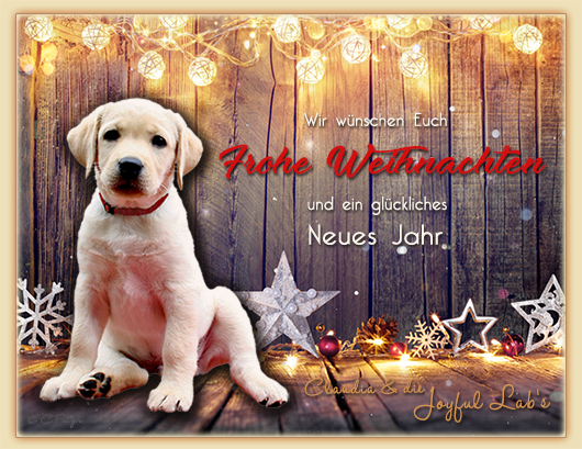 Wir wnschen euch allen frohe Weihnachten!