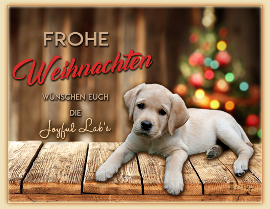 Wir wnschen euch allen ein schnes Weihnachtsfest :-)