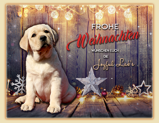 Die Joyful Lab's wnschen euch allen ein schnes Weihnachtsfest :-)