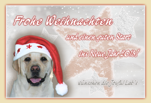 Wir wnschen euch allen ein schnes Weihnachtsfest!