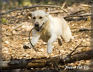 Joyful Labs Always Happy Girl "Frieda"